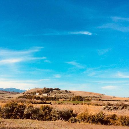 Le Terre D'Abruzzo Guest House Alanno Eksteriør bilde