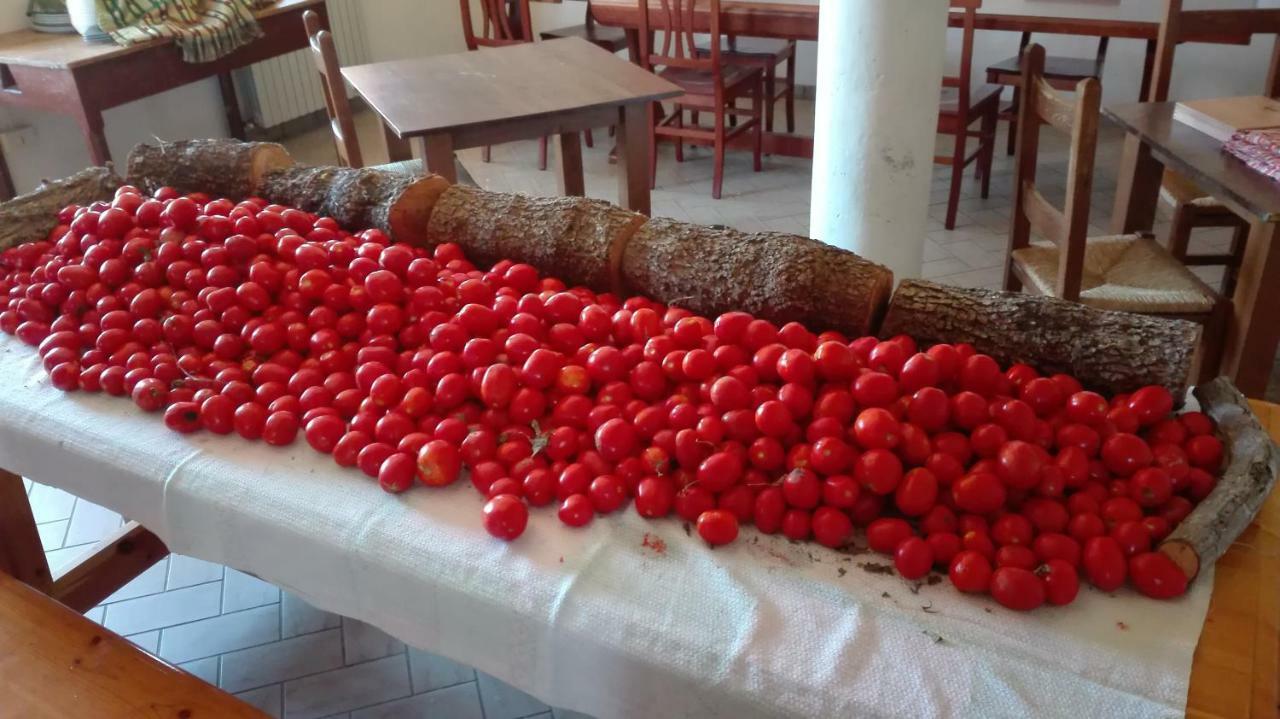 Le Terre D'Abruzzo Guest House Alanno Eksteriør bilde