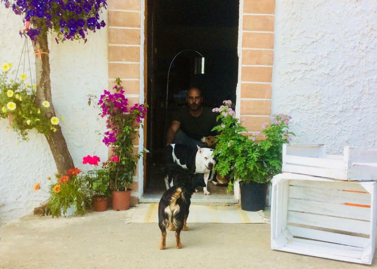 Le Terre D'Abruzzo Guest House Alanno Eksteriør bilde