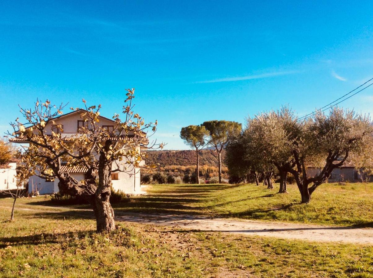 Le Terre D'Abruzzo Guest House Alanno Eksteriør bilde