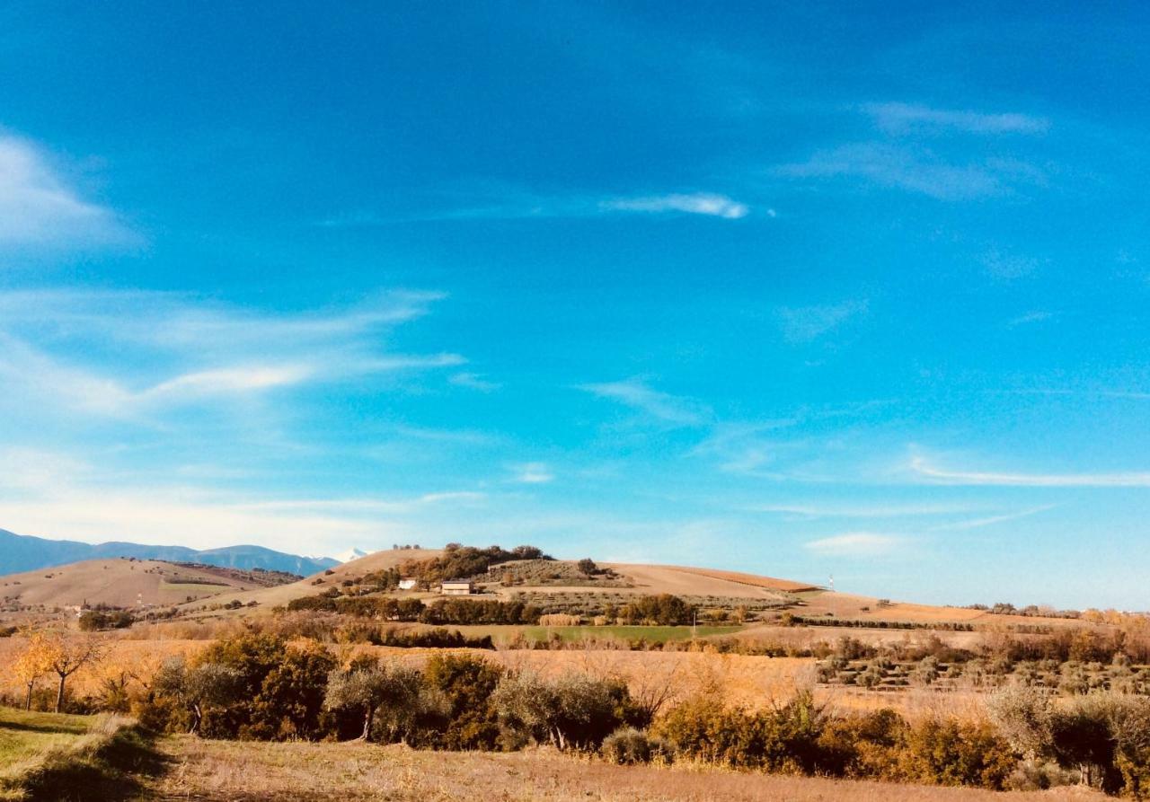 Le Terre D'Abruzzo Guest House Alanno Eksteriør bilde
