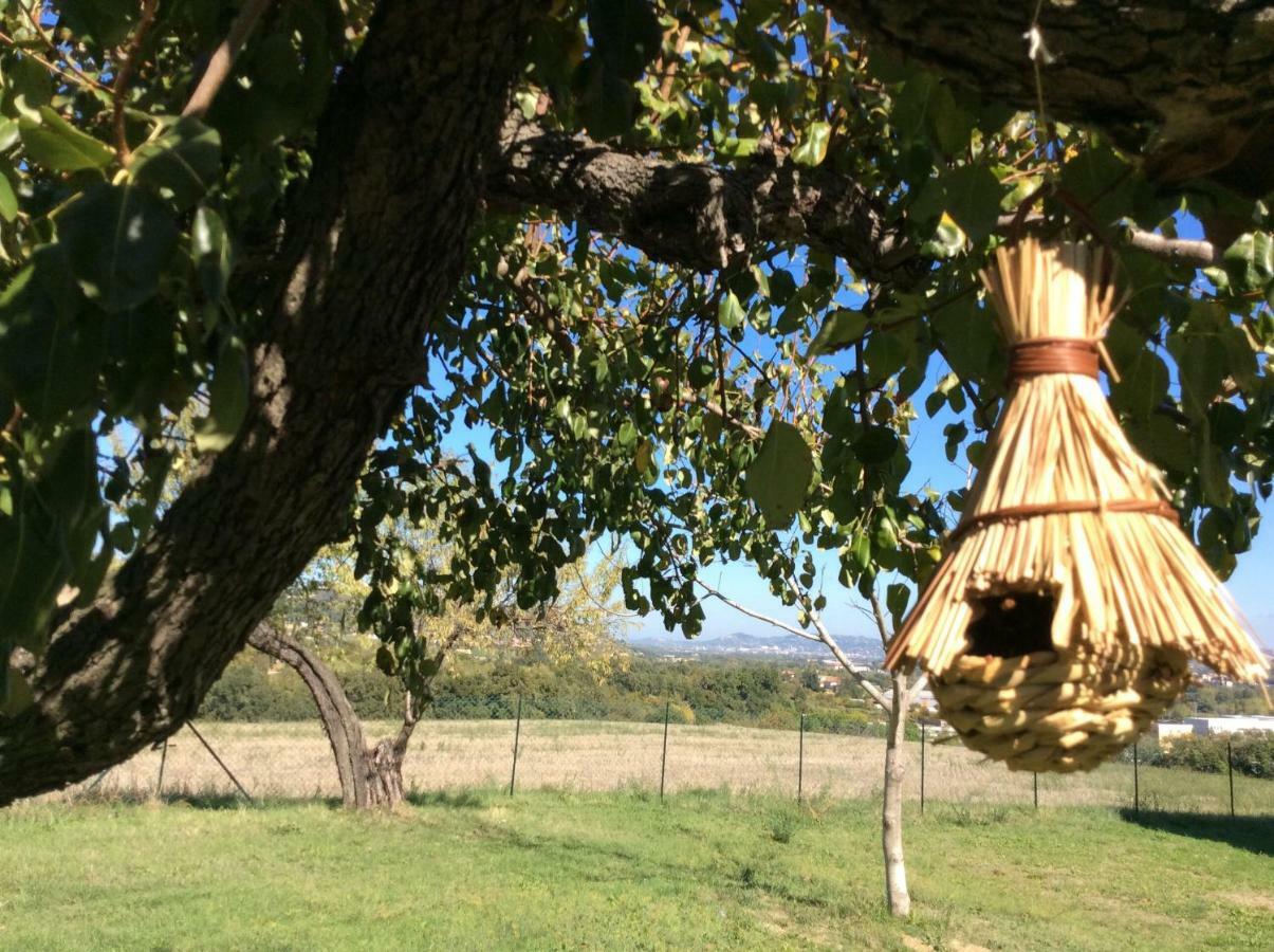 Le Terre D'Abruzzo Guest House Alanno Eksteriør bilde