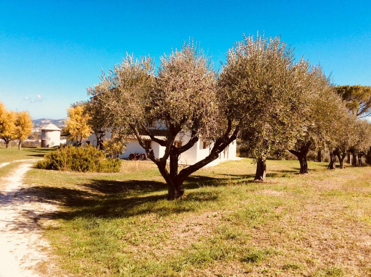 Le Terre D'Abruzzo Guest House Alanno Eksteriør bilde