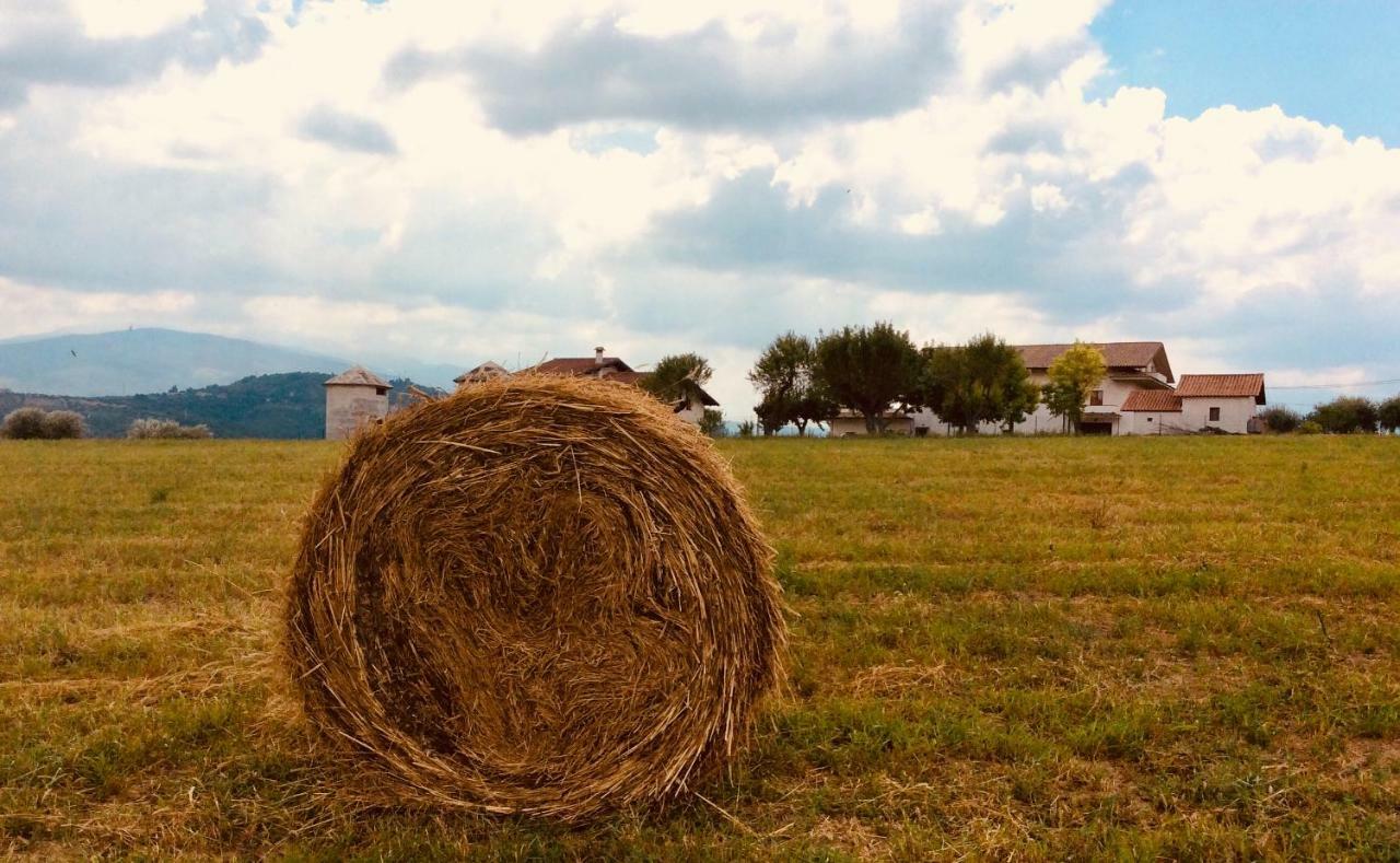 Le Terre D'Abruzzo Guest House Alanno Eksteriør bilde